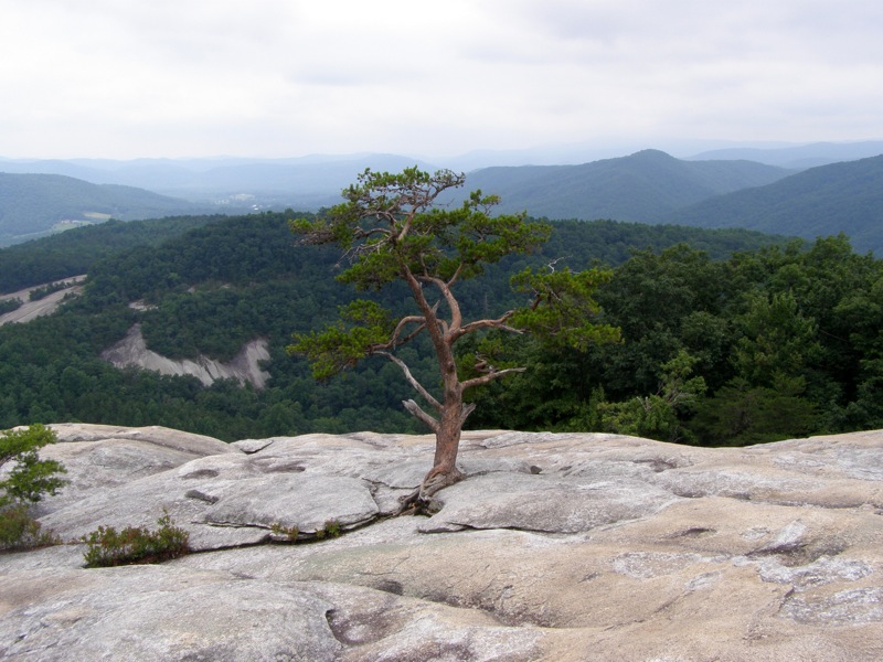 Steep Steps on the Stone Mountain Loop