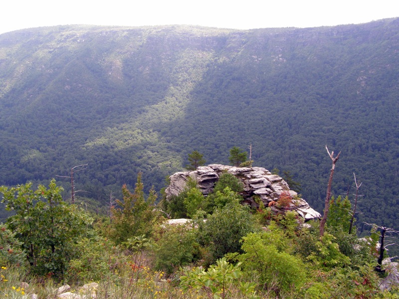 linville gorge hiking