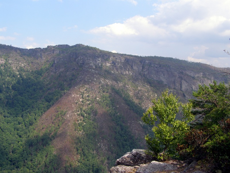 Linville gorge clearance trail map pdf