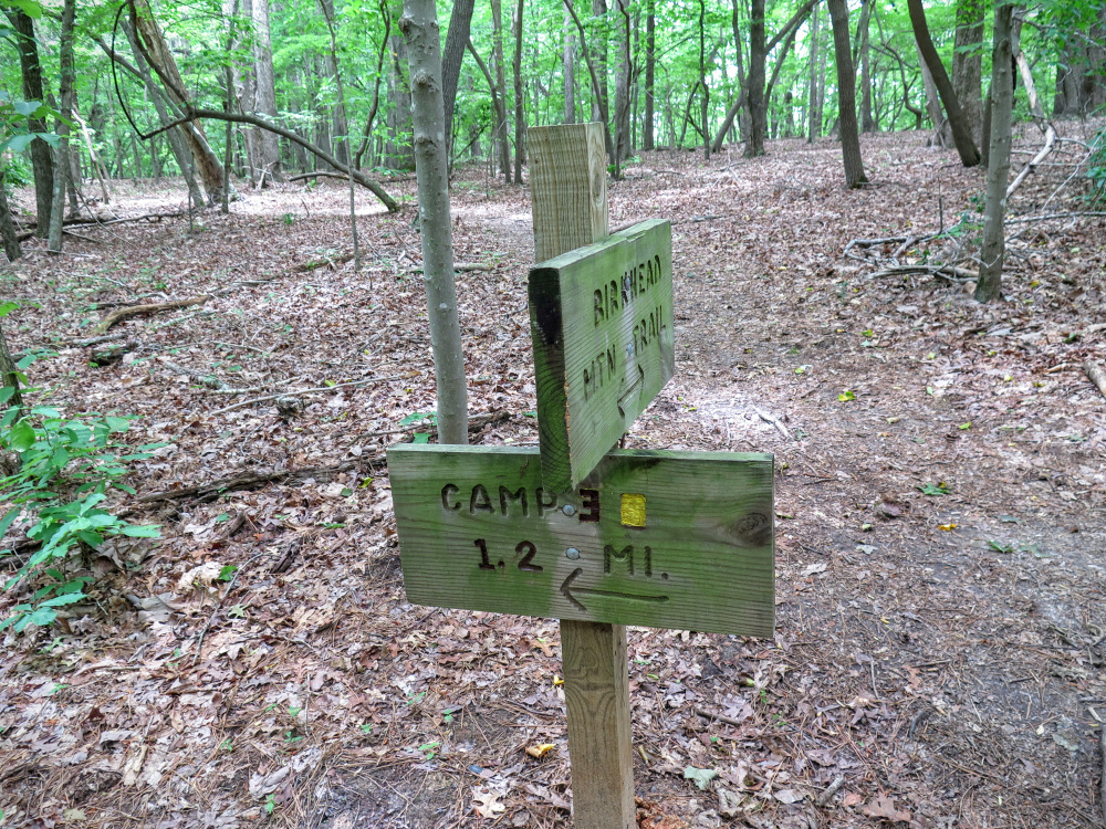 Birkhead mountain trail hotsell